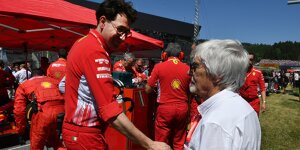 Bernie Ecclestone: Briatore wäre besserer Ferrari-Teamchef als Binotto