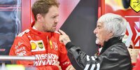 Bild zum Inhalt: Formel-1-Liveticker: Ecclestone rät Sebastian Vettel zu McLaren-Wechsel