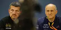 Günther Steiner und Franz Tost