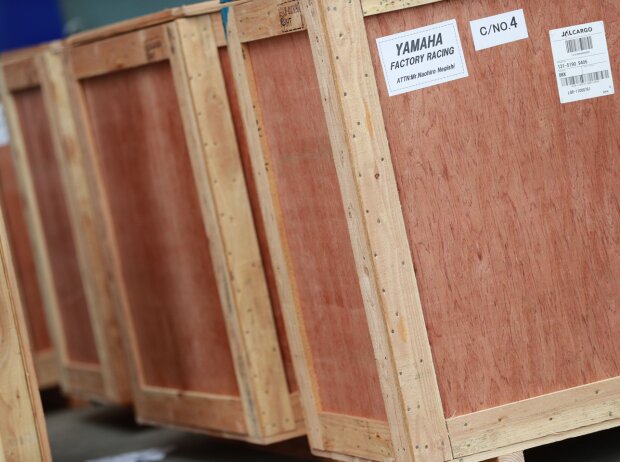 Transportboxen Transportboxen