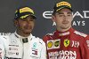 Ecclestone warnt vor Wechsel: Hamilton würde bei Ferrari "nicht überleben"