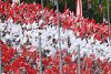 'Ö3' vermeldet: Saisonauftakt mit GP Österreich so gut wie fix!
