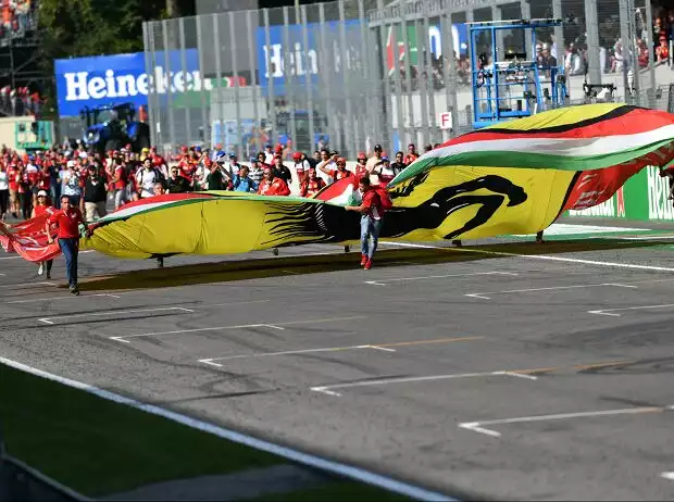 Tifosi Titel-Bild zur News: Tifosi