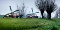 Max Verstappen, Alex Albon