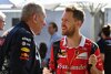 Bild zum Inhalt: Helmut Marko glaubt: "Sebastian Vettel wird aufhören, wenn..."