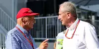 Niki Lauda, Helmut Marko