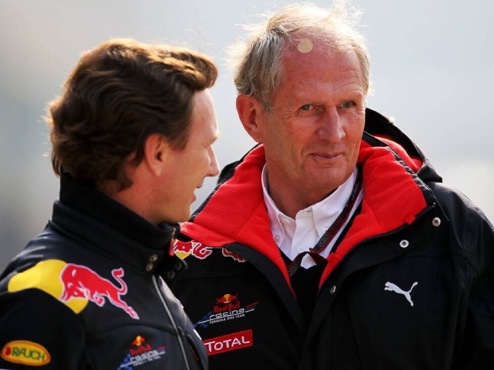 Christian Horner, Helmut Marko
