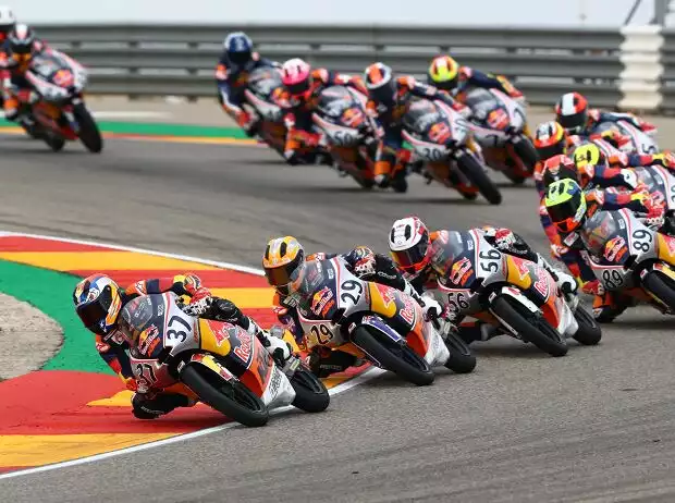 Rookies-Cup Titel-Bild zur News: Rookies-Cup