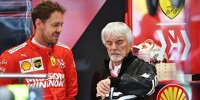 Bild zum Inhalt: Ecclestone rät Vettel: "Von Mercedes träumen bringt doch nichts"