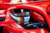Bild zum Inhalt: Damon Hill: Für Sebastian Vettel kann es nur noch bergab gehen