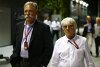 Rassismus: F1 distanziert sich nach kontroverser Aussage von Ecclestone