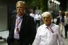 Bild zum Inhalt: Rassismus: F1 distanziert sich nach kontroverser Aussage von Ecclestone