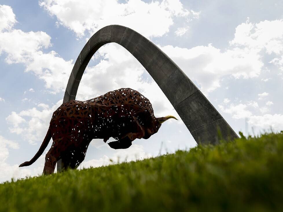 Stier am Red-Bull-Ring in Spielberg