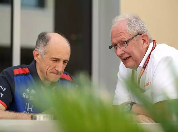 Franz Tost, Helmut Marko Titel-Bild zur News: Franz Tost, Helmut Marko