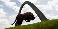 Stier am Red-Bull-Ring in Spielberg