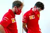 Bild zum Inhalt: Ferrari: Vettel & Leclerc wussten, "dass sie etwas falsch gemacht haben"