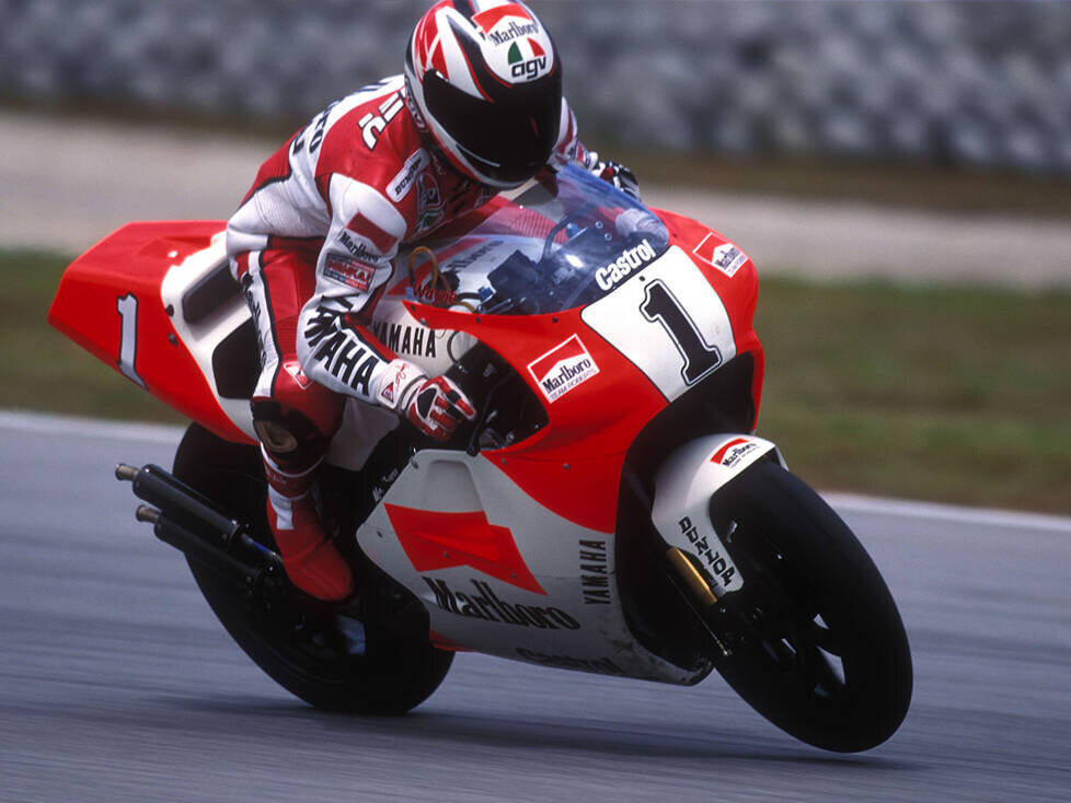 wayne rainey