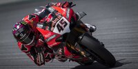 Bild zum Inhalt: Ducati: Redding hat laut ServusTV-Experte Nebel "den richtigen Biss"