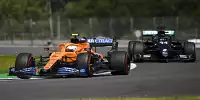 Lando Norris, Lewis Hamilton