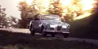 BMW 503 Cabrio