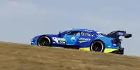 Robin Frijns