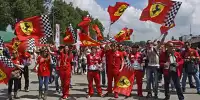 Zuschauer, Tifosi, Fans