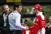 Bild zum Inhalt: Mark Webber: Hülkenberg, Perez und Stroll gute Fahrer, "aber alle kein Vettel"