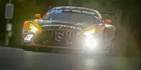 Maro Engel