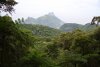 Rio Motorsport verspricht Umweltschützern 700.000 neue Bäume