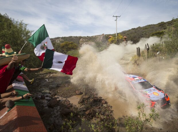 Titel-Bild zur News: Rallye Mexiko