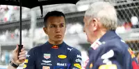Alexander Albon, Helmut Marko