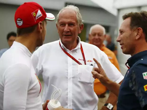 Titel-Bild zur News: Sebastian Vettel, Helmut Marko