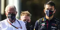 Bild zum Inhalt: Helmut Marko: Alexander Albon hat noch "zwei, drei Rennen" Zeit