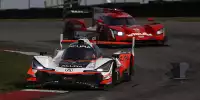 Helio Castroneves, Ricky Taylor
