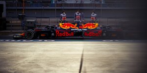 Red Bull hält zu Albon: Kein Fahrerwechsel vor Saisonende 2020