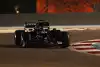 Bild zum Inhalt: F1 Bahrain 2020, Freitag: "Ich hoffe, es ist nicht Roscoe?"