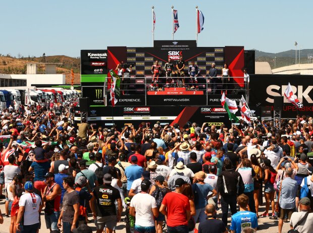 Paddock-Show Paddock-Show