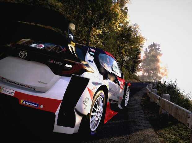 Titel-Bild zur News: WRC 9