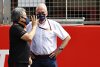 Helmut Marko exklusiv (1/3): Eigener Red-Bull-Motor "bei 80, 85 Prozent"