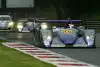 Bild zum Inhalt: Top 10 beste LMP1-Rennen - P10: 1.000 Kilometer Monza 2004 (LMES)