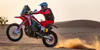 Bild zum Inhalt: Rallye Dakar 2021: Eine Sekunde trennt das Führungsduo Cornejo und Price