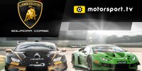 Lamborghini-Kanal bei Motorsport.tv