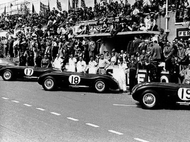 Der Jaguar C-Type 1953 in Le Mans