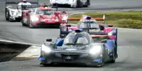 Alexander Rossi, Filipe Albuquerque