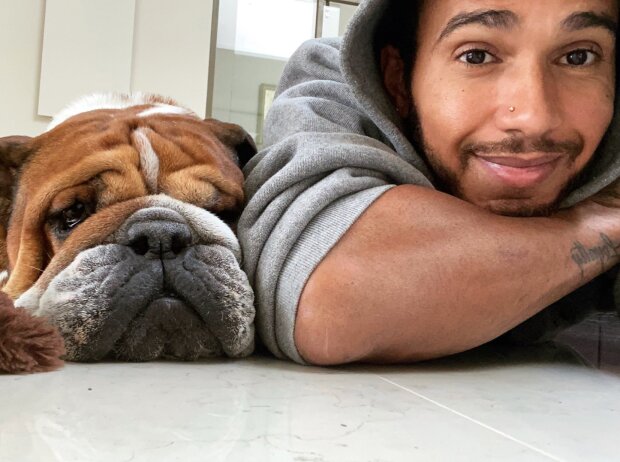Titel-Bild zur News: Lewis Hamilton mit seiner Bulldogge Roscoe