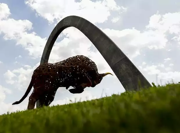 Stier am Red-Bull-Ring in Spielberg Titel-Bild zur News: Stier am Red-Bull-Ring in Spielberg