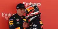 Pierre Gasly, Max Verstappen