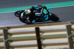 Franco Morbidelli (Petronas) 