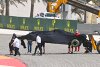 Ralf Schumacher über die Mercedes-Probleme: "Ein absoluter Horror"