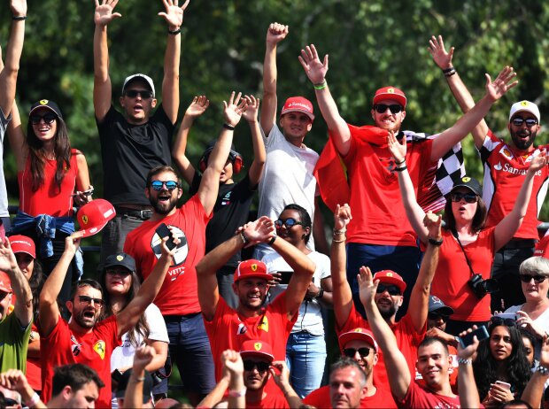 Fans Fans